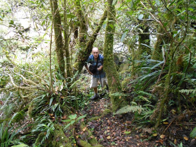 Les derniers hectomètres de la montée