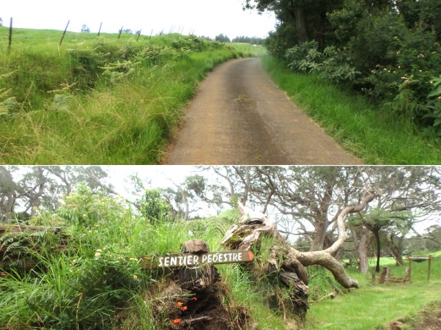 Beaucoup de petites routes et passage au plus près des sentiers de la Ravine Blanche