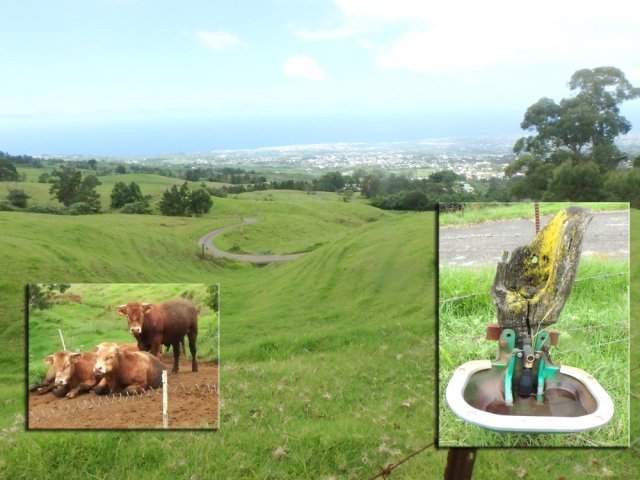 Très agréable descente bucolique du côté de Terrain Hammerer