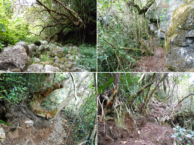 D'autres portions du sentier, à l'aspect différent