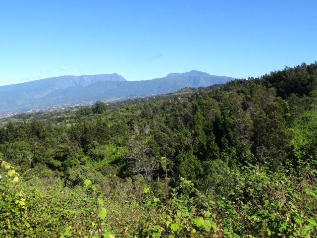 Plusieurs panoramas sur les pitons à l'approche de la Mare