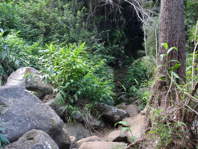 La remontée jusqu'aux prairies comporte les premières difficultés