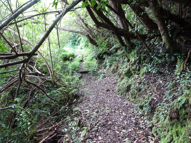 Les parties plates sont larges et correctement nettoyées