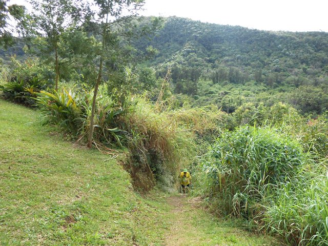 Le sentier qui surgit au stade du Grand Serré, fin de la sortie