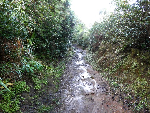 Quelques portions de la montée sont boueuses, donc glissantes