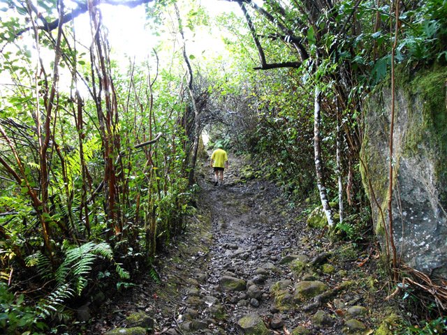 Montée sans grande difficulté vers la Pente Tunnel