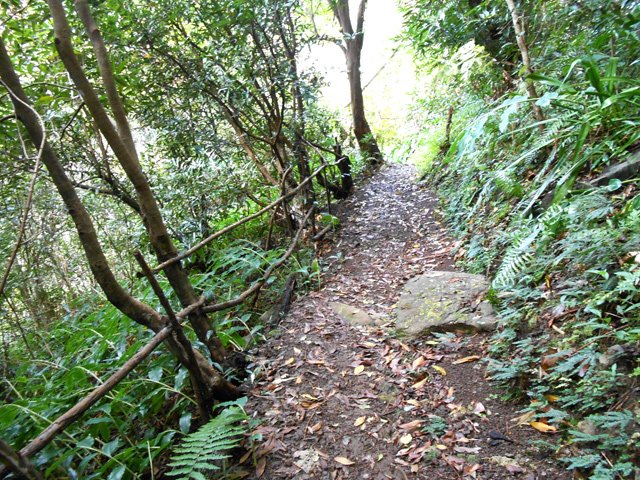 Le sentier n'est pas toujours aussi large et plat