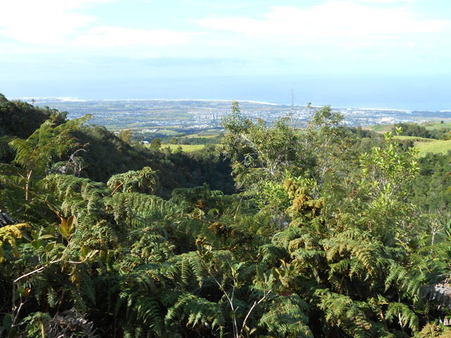Une idée de la végétation lors de la remontée