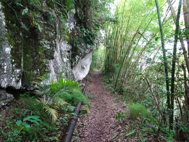 Une tuyauterie apparaît de temps en temps sur le sentier
