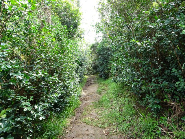Début de la montée après le château d 'eau