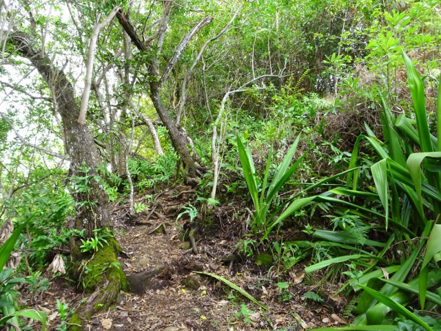 Le sentier est un peu raide sur une vingtaine de mètres
