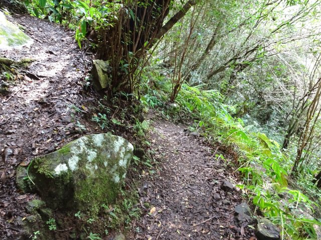 Quelques lacets pour rejoindre le Bras Montplaisir