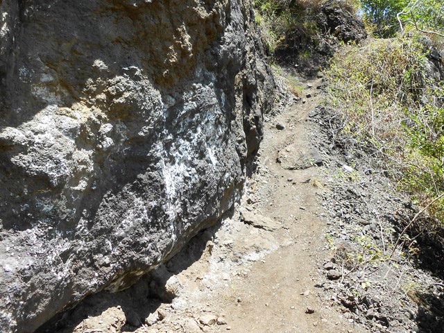 Passage glissant sans main courante mais avec végétation