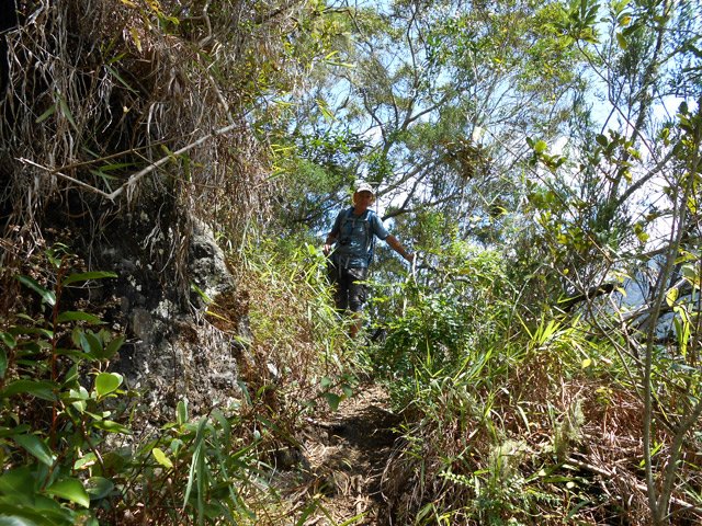 Sentier toujours visible et parfois facile