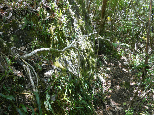 Quelques gros rochers dans la montée