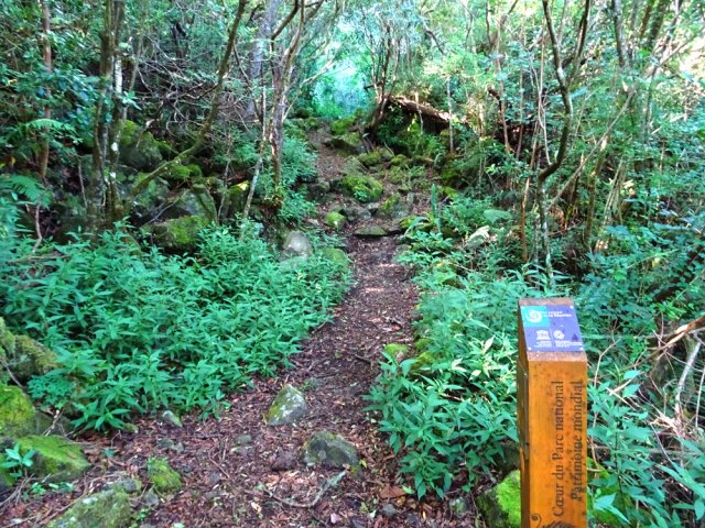 Le début du sentier de Gueule Rouge, plat pour quelques minutes