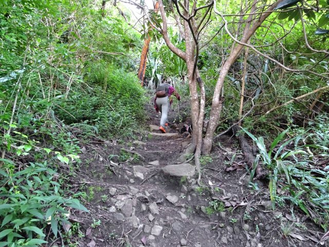 Important coup de rein pour rejoindre le col du Piton Morel