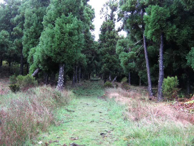 Le début du sentier après la barrière