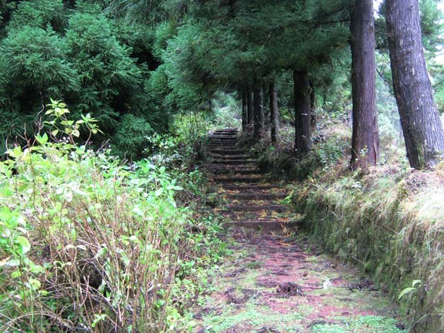 Le début du sentier proche de la source Reilhac