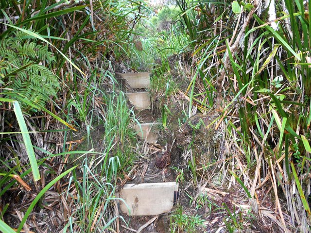 Passage étroit dans les sabres qui couvriront vite le sentier