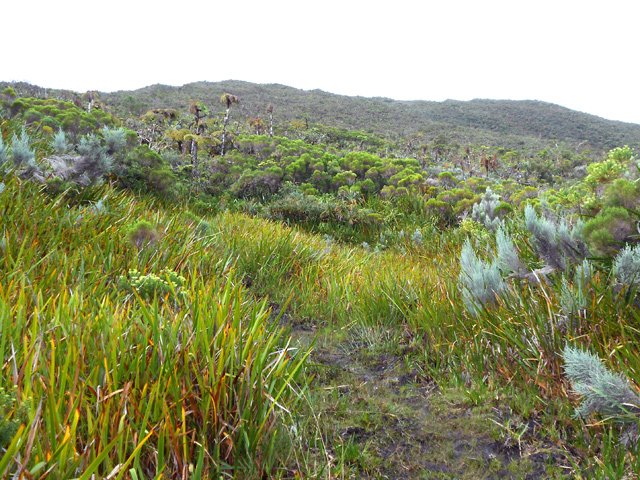 On traverse de grandes surfaces couvertes de sabres