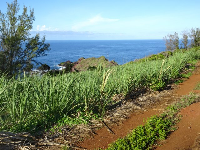 Plus bas, la Petite Île apparaît