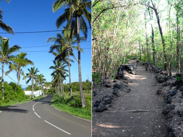 Descente vers Grande Anse et remontée au piton de Grande Anse