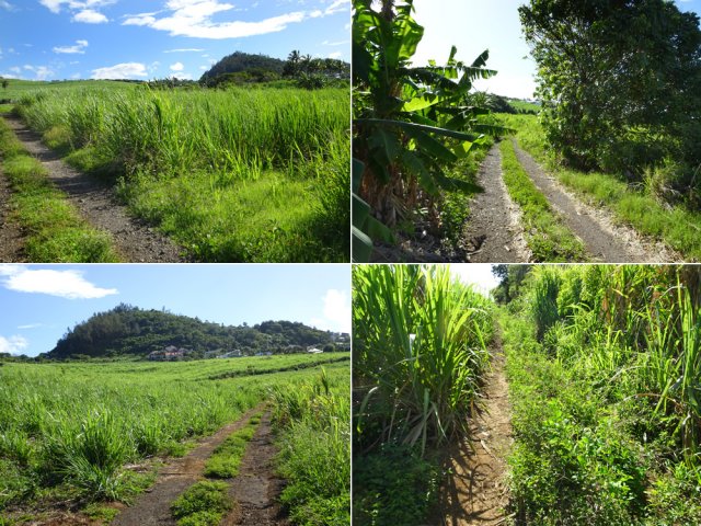 Quelques pistes cannières pour rejoindre le Chemin Laguerre