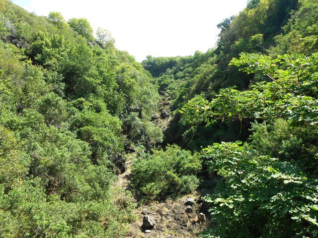 La Rivière d'Abord vue depuis la passerelle