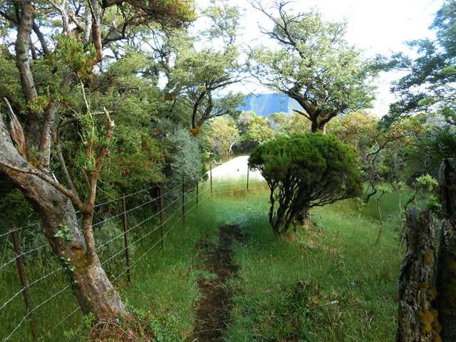 L'étroit sentier vers l'étable et la Rampe Liot