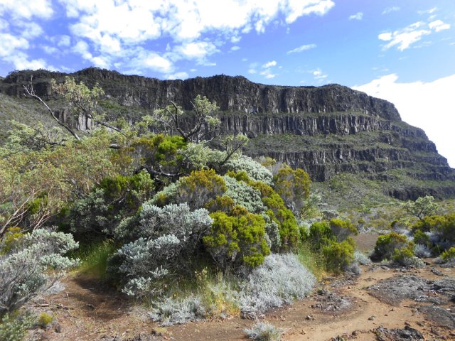 Suivre les mouvements du terrain et slalomer entre les plantes