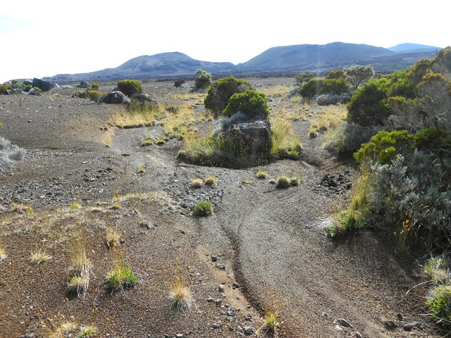 Longer cette belle ravine sableuse en rive gauche