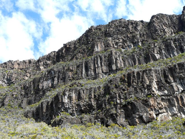 Les orgues impressionnants du rempart du Plateau des Basaltes