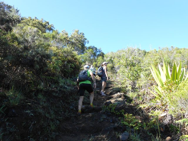 Une idée du sentier de la montée au Piton Maillot