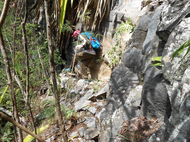Petit "zébouli" qui nécessite un peu d'attention