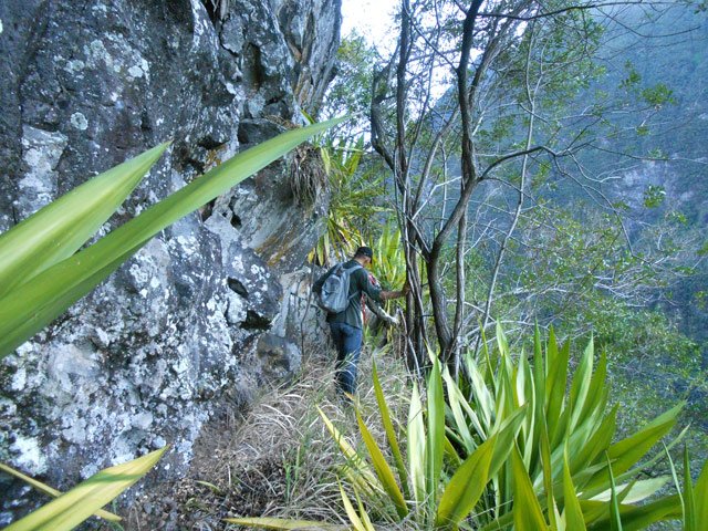 Portion vertigineuse mais en bon état