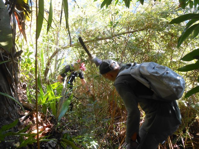 Coupe-coupe obligatoire en période de recherche et de découverte