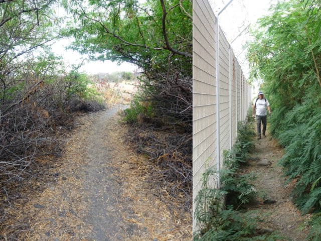 Ce sentier est parcouru des sportifs qui rallongent ainsi la boucle du parc
