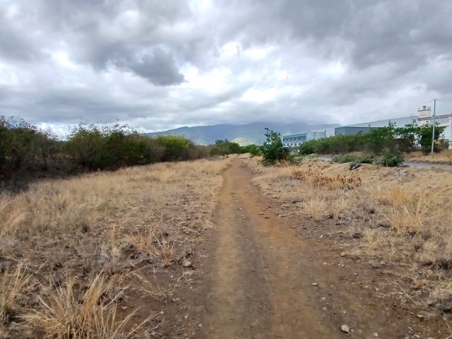 Chemin de terre pour amateurs de savane