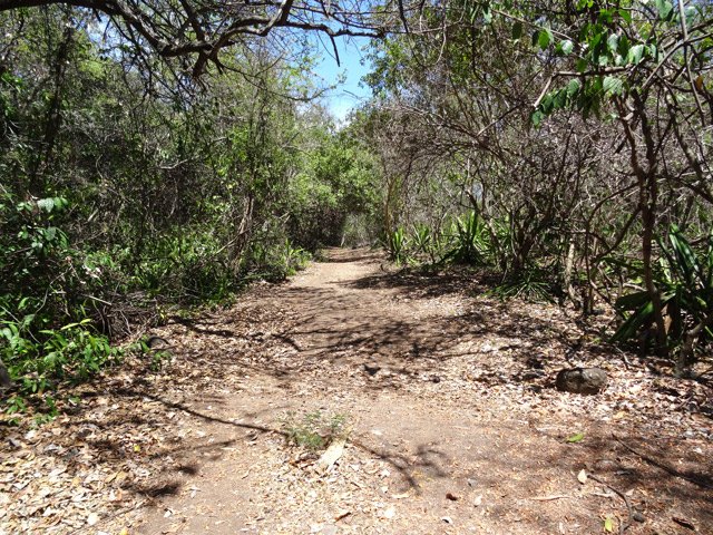 Longue portion de sentier large et rectiligne avant le gué caillouteux