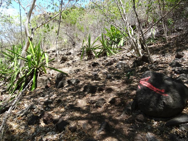 La montée est très forte dans les hauts cailloux brûlants