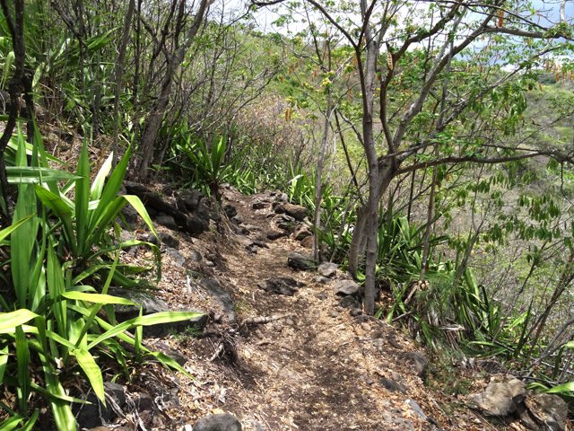 Descente facile au début