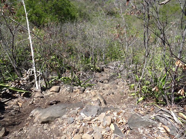 Beaucoup plus technique par la suite