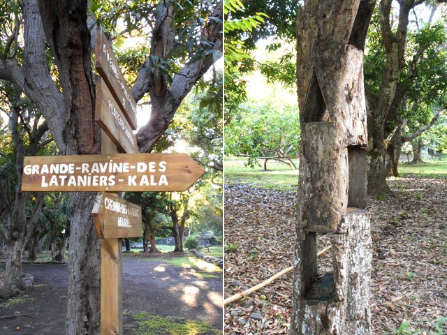 Pancartes ou sculptures sous les manguiers