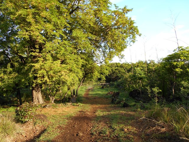 La pente est quasi inexistante avant l'arrivée au Verger Rostonne