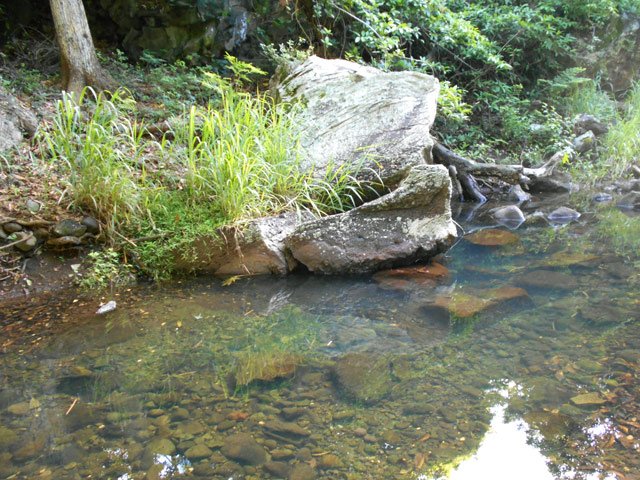 Longer la Petite Ravine des Lataniers qui n'a pas de l'eau toute l'année