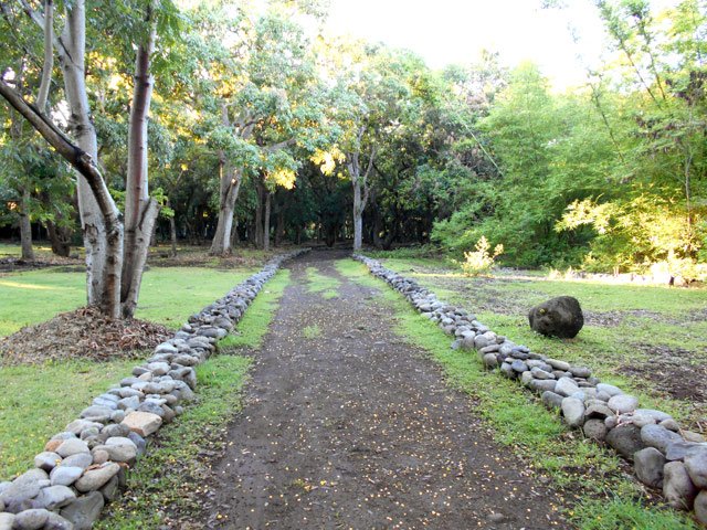 Aucun problème de cheminement sous les grands arbres