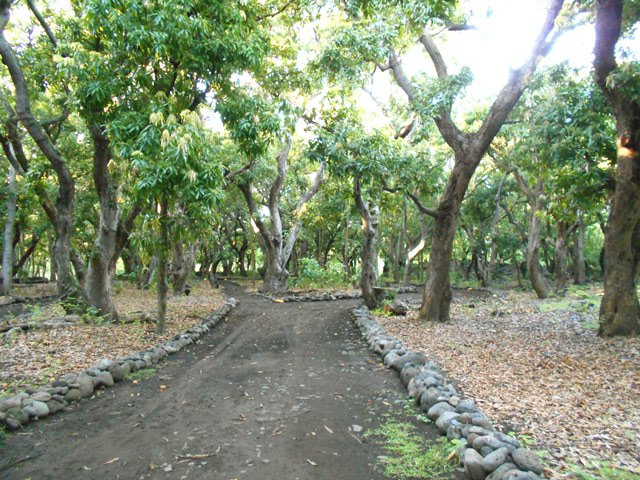 Suivre les gros cailloux jaunes en cas d'hésitation