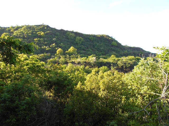 Une idée du paysage vers la route de la Montagne