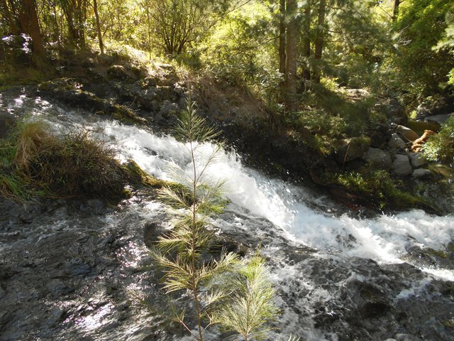 Un toboggan bruyant de la Ravine des Salazes